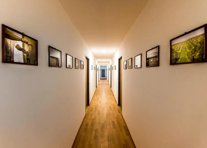 Vinarsky Dum Hostel