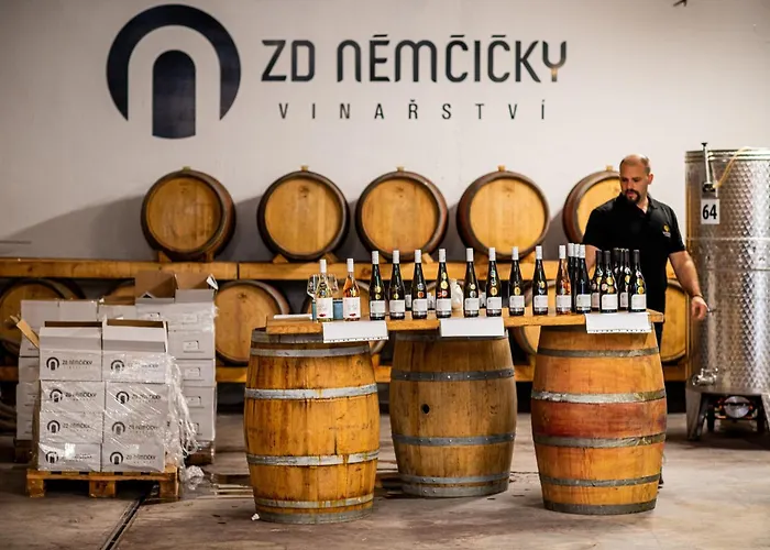 Vinarsky Dum Hostel *